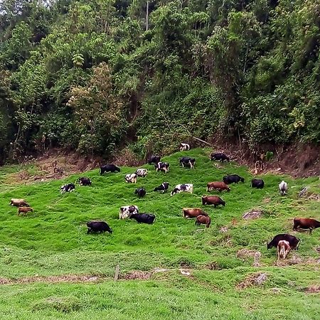 La Lucia Vila Manizales Exterior foto